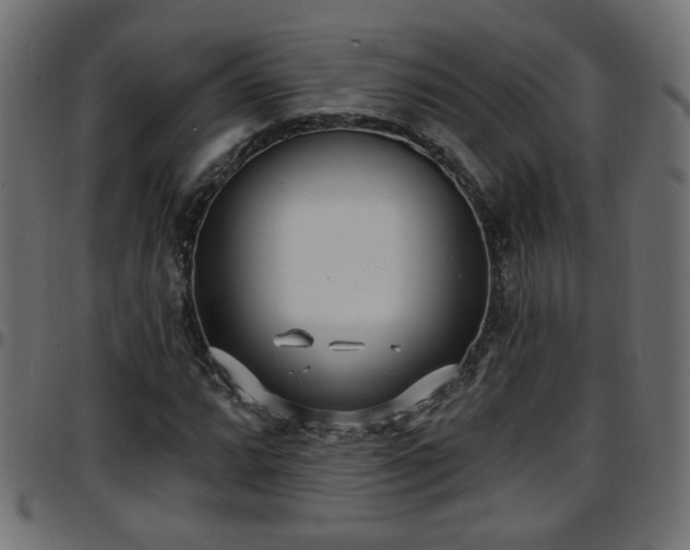 X0000097591064200803071315