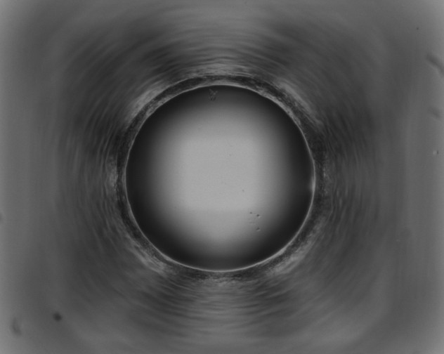 X0000097591065200803071315