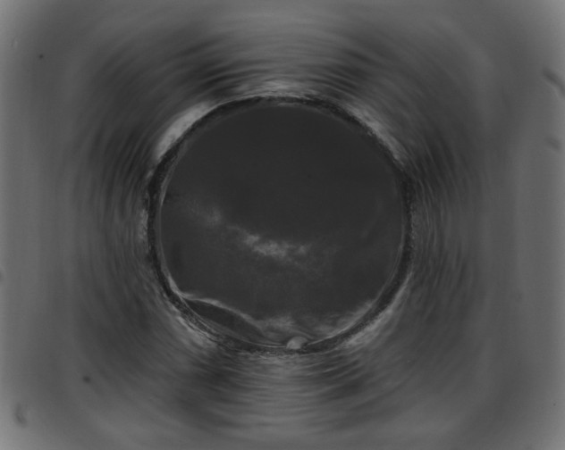 X0000097591066200803071315