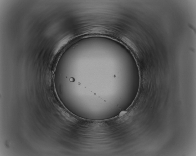 X0000097591067200803071315