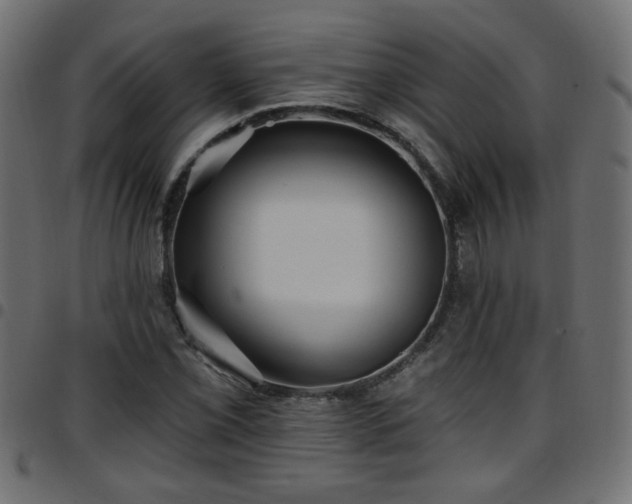 X0000097591069200803071315