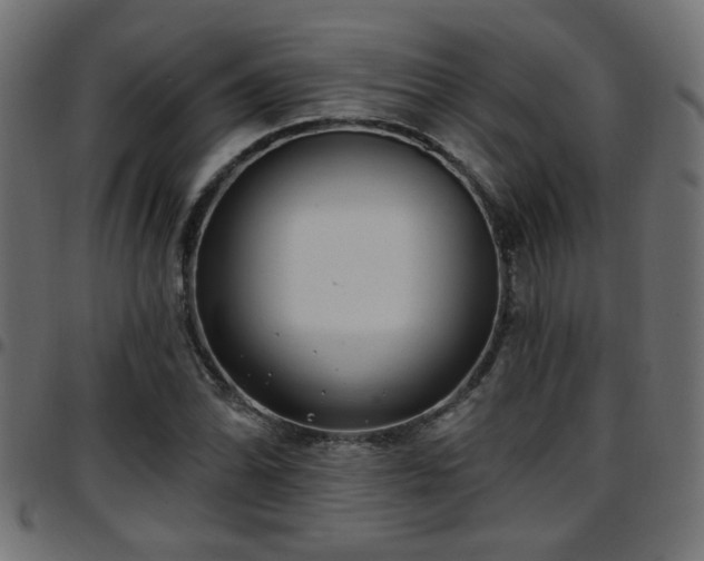 X0000097591070200803071315