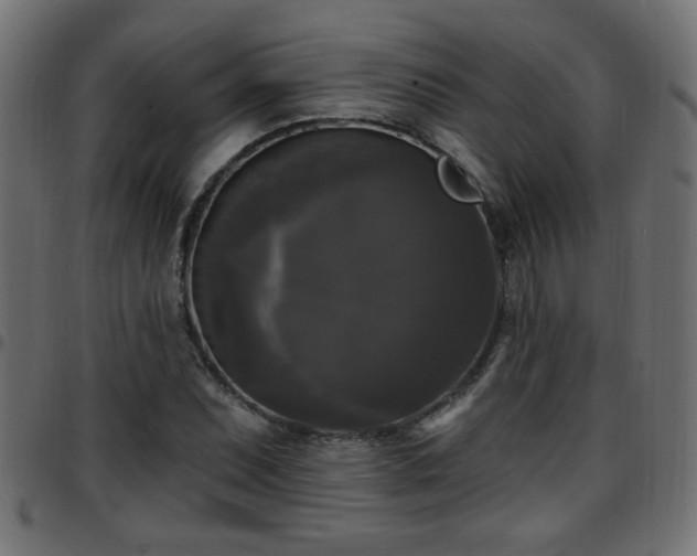 X0000097591071200803071315