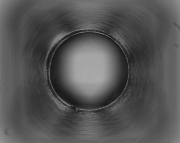 X0000097591072200803071315