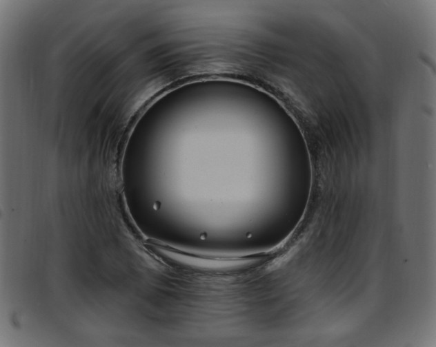 X0000097591073200803071315