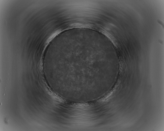 X0000097591074200803071315