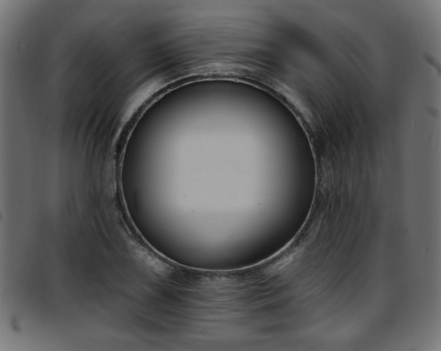 X0000097591075200803071315