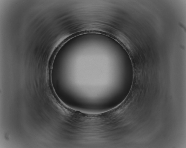 X0000097591076200803071315