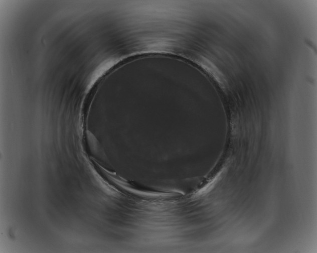 X0000097591077200803071315