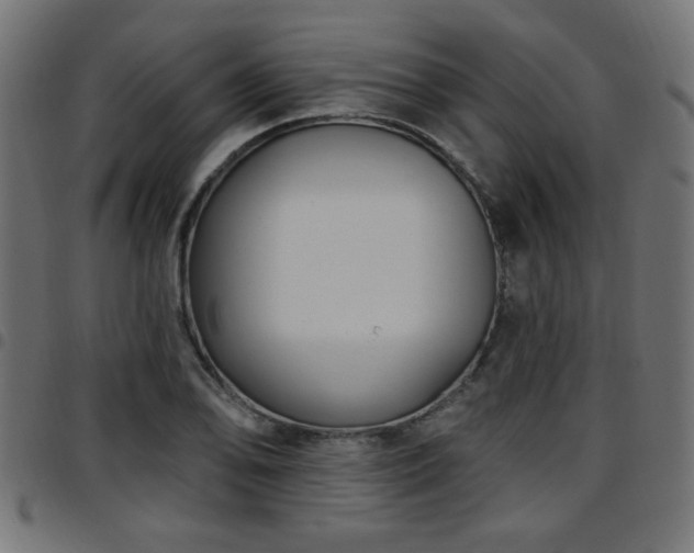 X0000097591078200803071315