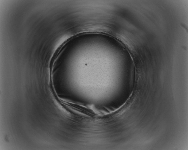 X0000097591079200803071315