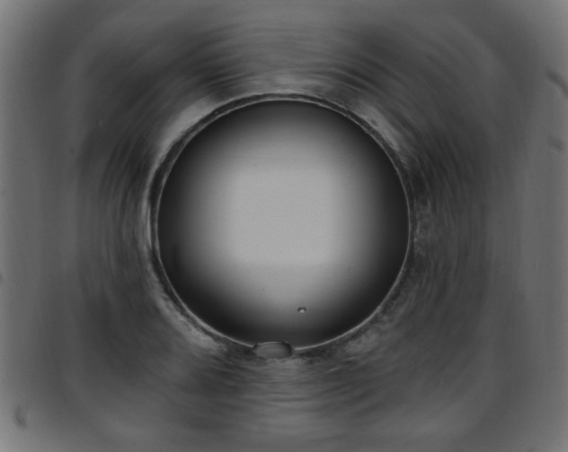 X0000097591080200803071315