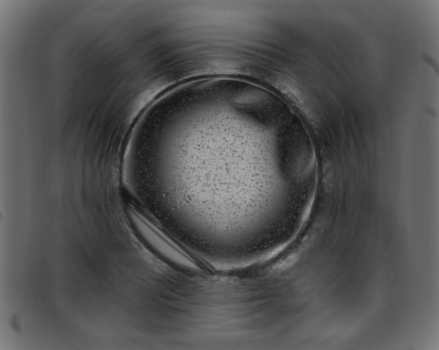 X0000097591081200803071315