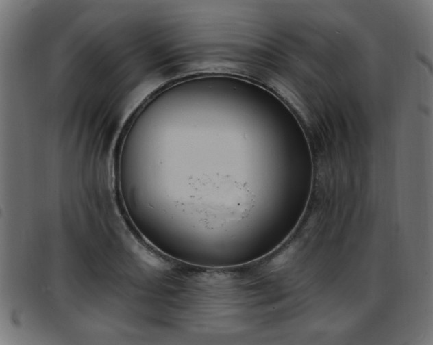 X0000097591082200803071315