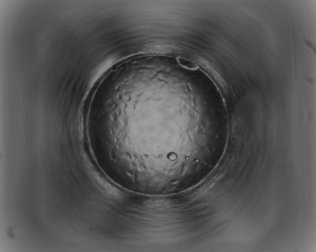 X0000097591083200803071315