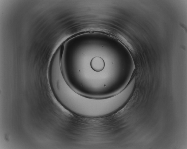 X0000097591084200803071315