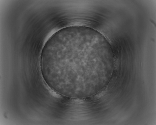 X0000097591086200803071315