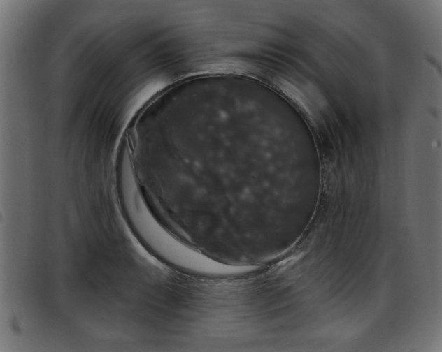 X0000097591087200803071315