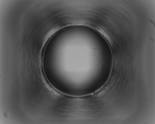 X0000097591088200803071315