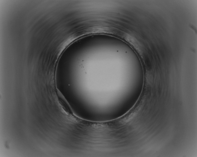 X0000097591089200803071315