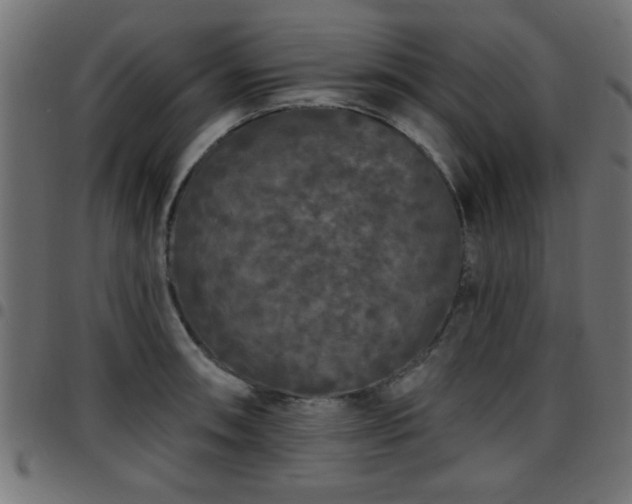 X0000097591090200803071315