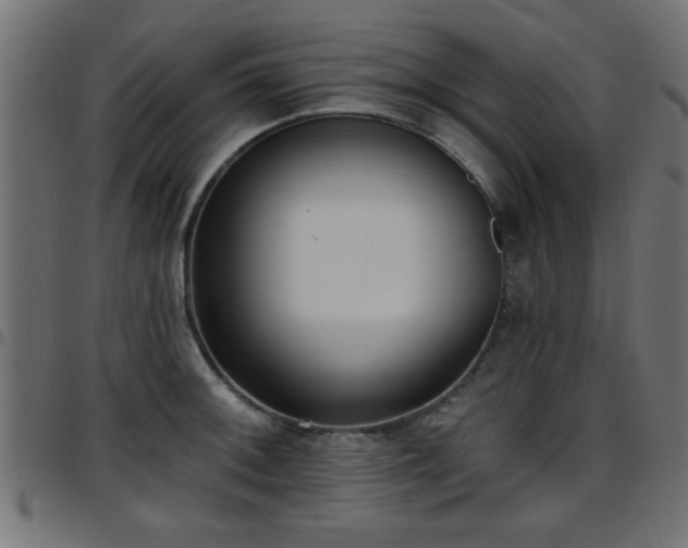 X0000097591092200803071315