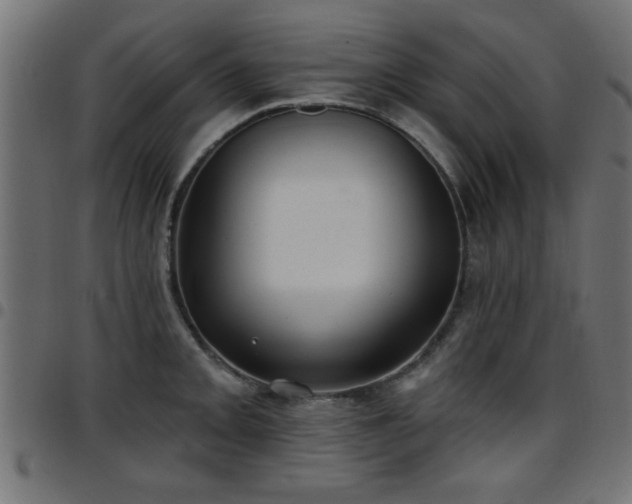 X0000097591093200803071315