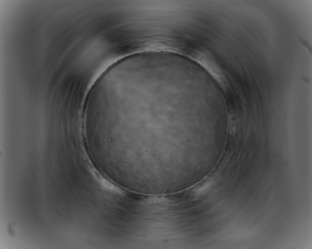 X0000097591094200803071315