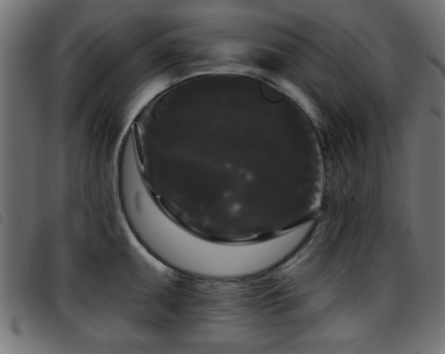 X0000097591095200803071315