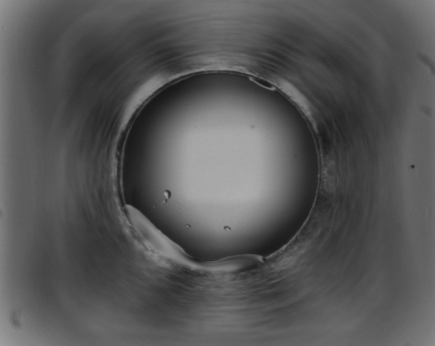 X0000097591096200803071315