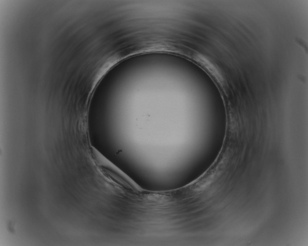 X0000097591097200803071315