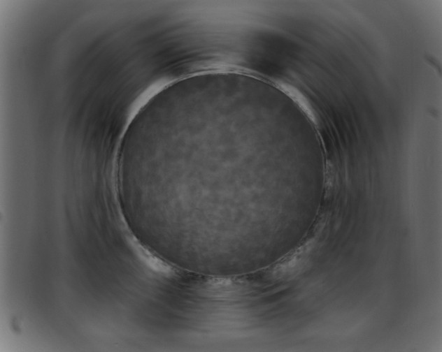 X0000097591098200803071315