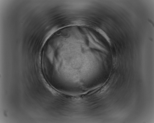 X0000097591099200803071315