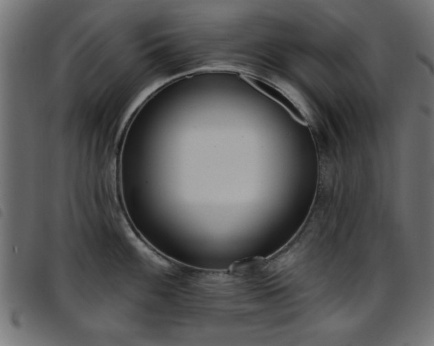 X0000097591100200803071315