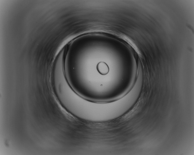 X0000097591101200803071315