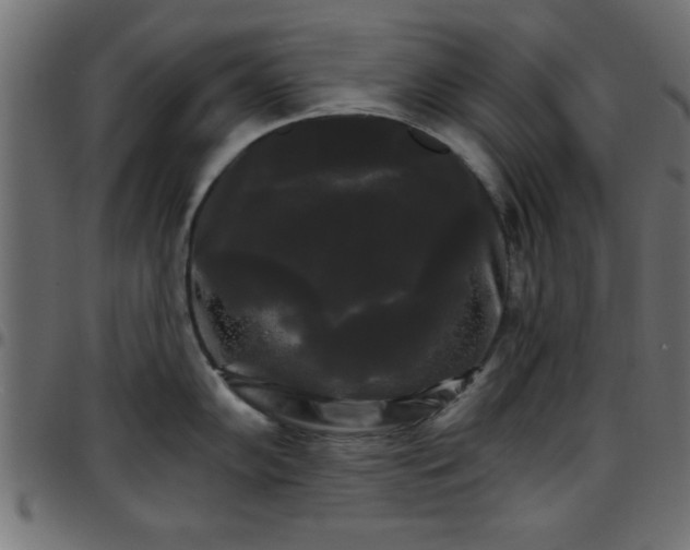 X0000097591102200803071315