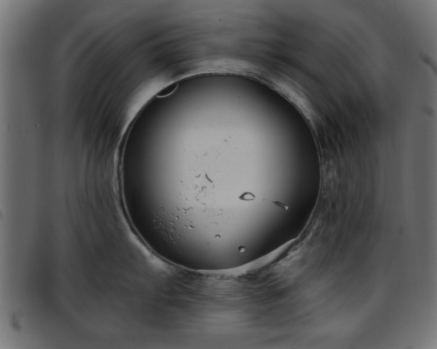 X0000097591103200803071315