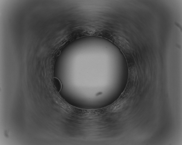 X0000097591105200803071314