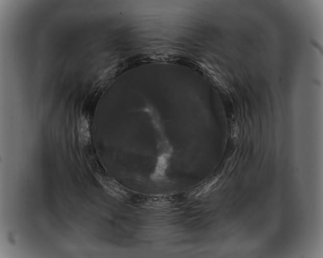 X0000097591106200803071314