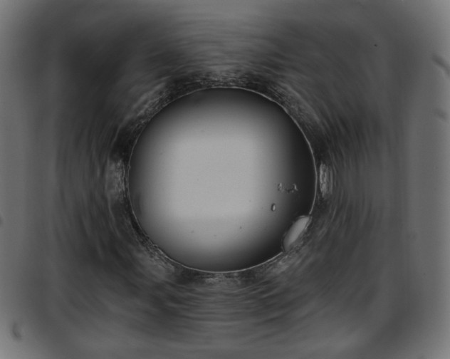 X0000097591107200803071314