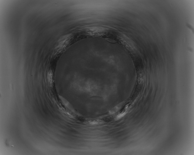 X0000097591108200803071314