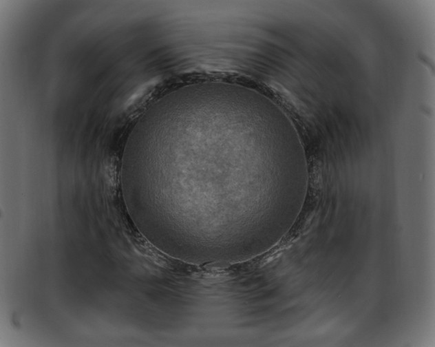 X0000097591110200803071314