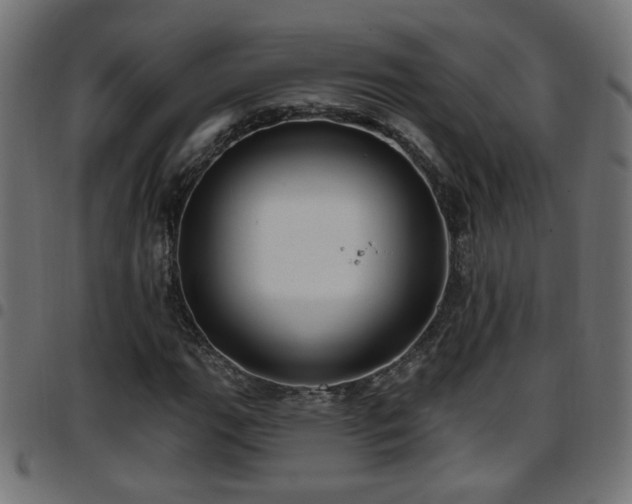 X0000097591111200803071314