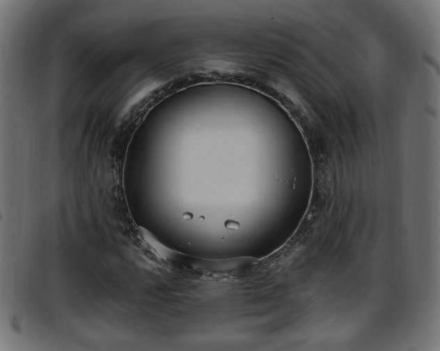 X0000097591112200803071314