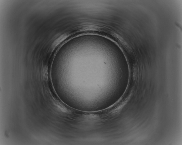 X0000097591113200803071314