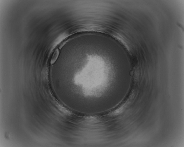 X0000097591114200803071314