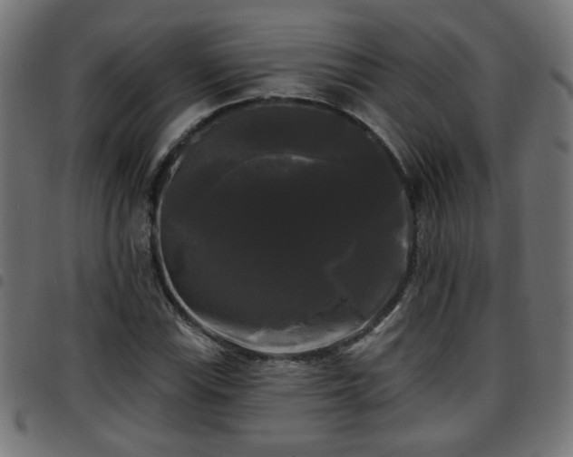 X0000097591115200803071314