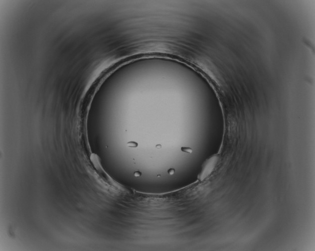 X0000097591116200803071314