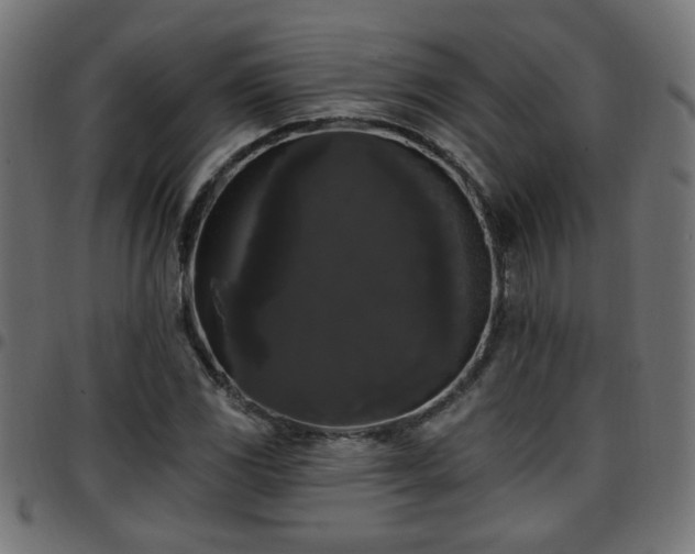 X0000097591117200803071314