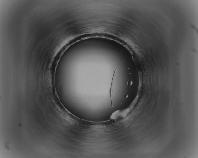 X0000097591118200803071314